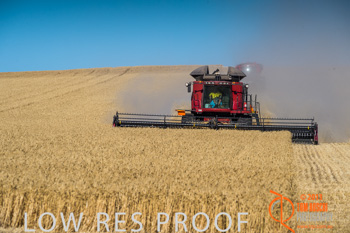 November 2013 / TRP_AB_YP_00134_131118