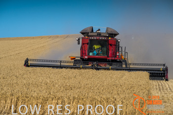 November 2013 / TRP_AB_YP_00135_131118