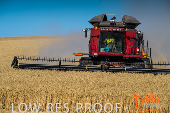 November 2013 / TRP_AB_YP_00136_131118