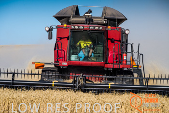 November 2013 / TRP_AB_YP_00138_131118