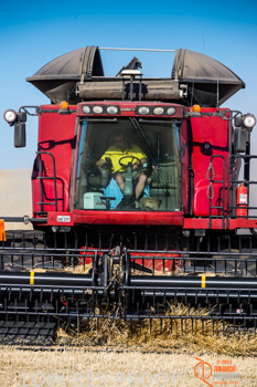 November 2013 / TRP_AB_YP_00141_131118