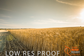 November 2013 / TRP_AB_YP_00156_131118