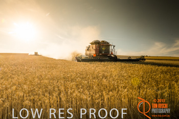 November 2013 / TRP_AB_YP_00165_131118