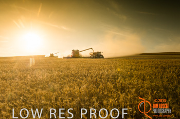 November 2013 / TRP_AB_YP_00167_131118