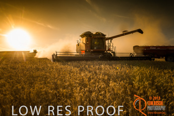 November 2013 / TRP_AB_YP_00170_131118