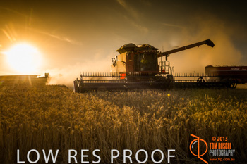 November 2013 / TRP_AB_YP_00171_131118