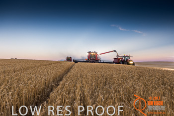 November 2013 / TRP_AB_YP_00186_131118