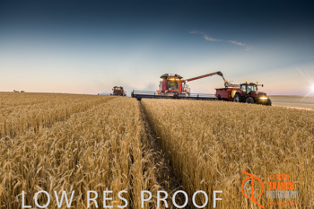 November 2013 / TRP_AB_YP_00187_131118