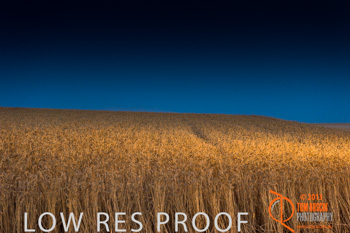 November 2013 / TRP_AB_YP_00197_131118