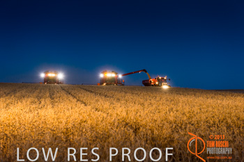 November 2013 / TRP_AB_YP_00199_131118