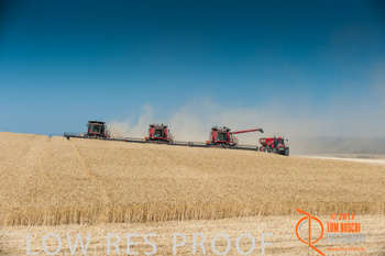 November 2013 / TRP_AB_YP_00222_131118