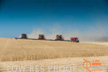 November 2013 / TRP_AB_YP_00224_131118