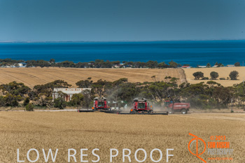 November 2013 / TRP_AB_YP_00234_131118