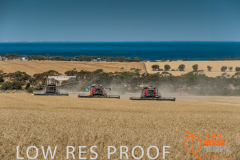 November 2013 / TRP_AB_YP_00237_131118