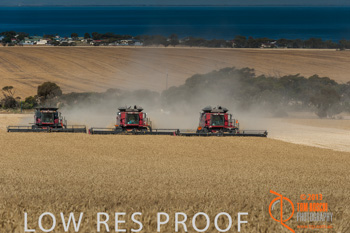 November 2013 / TRP_AB_YP_00262_131118