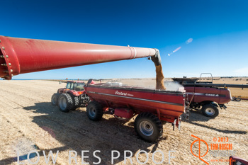 November 2013 / TRP_AB_YP_00268_131118