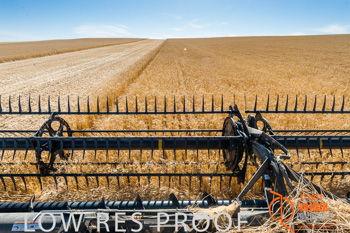 November 2013 / TRP_AB_YP_00271_131118