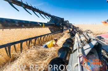 November 2013 / TRP_AB_YP_00283_131118