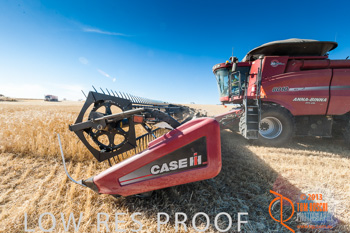 November 2013 / TRP_AB_YP_00292_131118