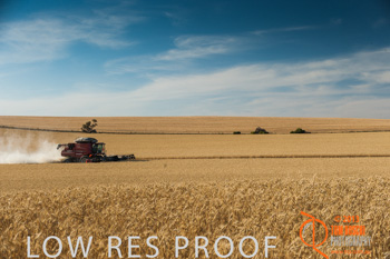 November 2013 / TRP_AB_YP_00299_131118