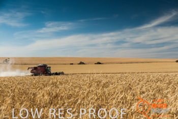 November 2013 / TRP_AB_YP_00300_131118