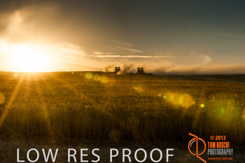 November 2013 / TRP_AB_YP_00310_131118