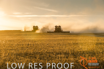 November 2013 / TRP_AB_YP_00311_131118