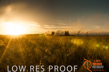 November 2013 / TRP_AB_YP_00313_131118