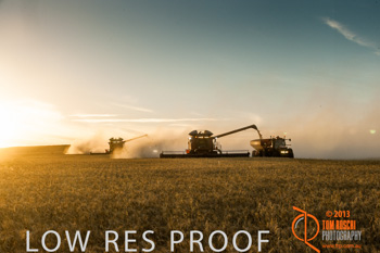 November 2013 / TRP_AB_YP_00317_131118