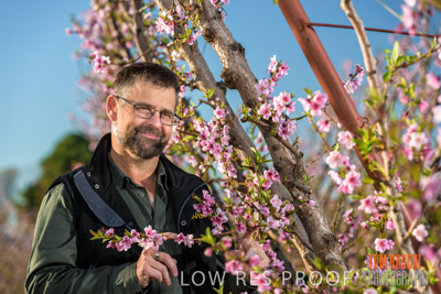 July 2017 / Bookpurnong_Fruits_120_170724