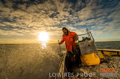 July 2013 / COORONG_WILD_SEAFOOD_026_(130724)