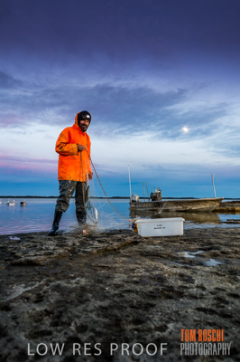 July 2013 / COORONG_WILD_SEAFOOD_181_(130725)