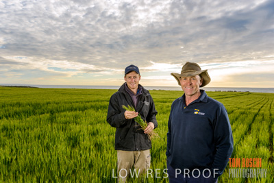 August 2017 / LAWRIE_TUMBY_BAY_013_170831