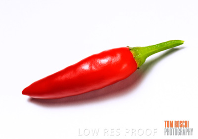 August 2006 / Chillie 006-20060804-2