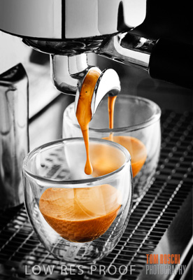 April 2008 / IMG_0284 _FINAL_35cm wide_SHRP_090512