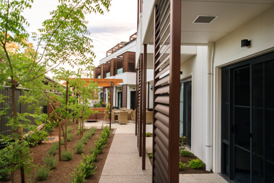 November 2019 / TRP-038