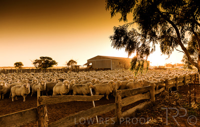 August 2022 / THINKLE_00001