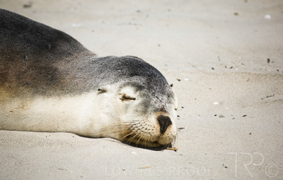 August 2022 / THINKLE_00002