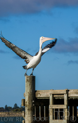 August 2022 / THINKLE_00006