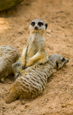 August 2022 / THINKLE_00007