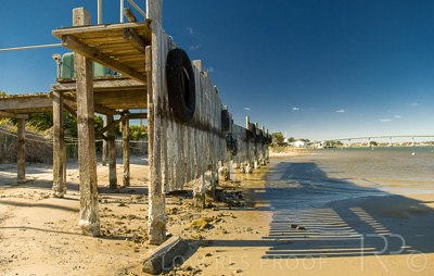 August 2022 / THINKLE_00008