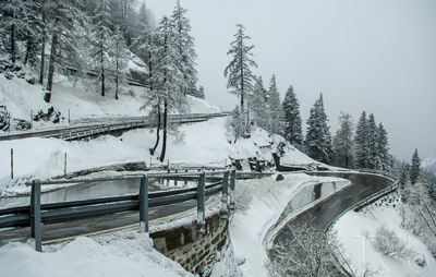 August 2022 / THINKLE_00009