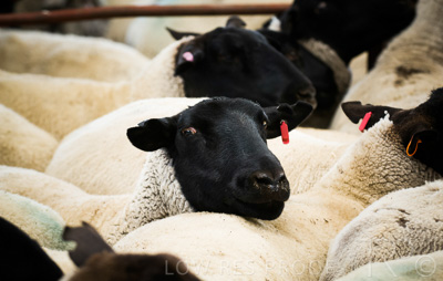 August 2022 / THINKLE_00013