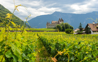 August 2022 / THINKLE_00016