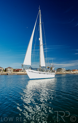 August 2022 / THINKLE_00025