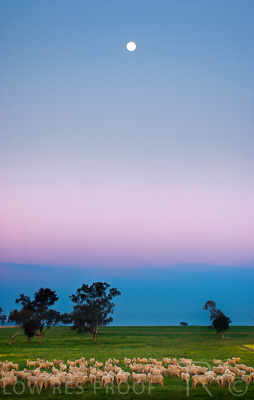 August 2022 / THINKLE_00026