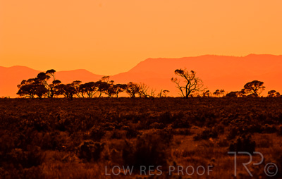 August 2022 / THINKLE_00031