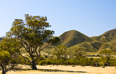 August 2022 / THINKLE_00032