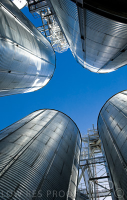 August 2022 / THINKLE_00033