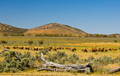 August 2022 / THINKLE_00034